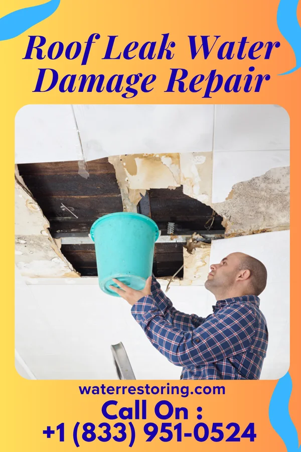 Roof Leak Water Damage Repair in Wolverton, MN
