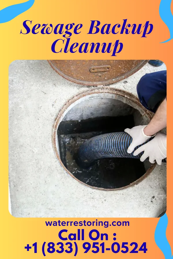 Sewage Backup Cleanup in Wolverton, MN