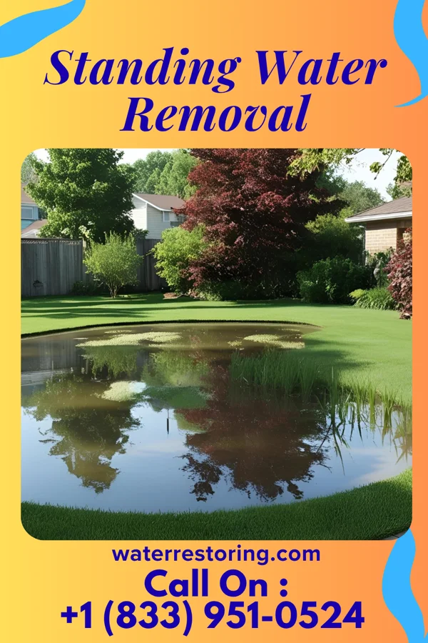 Standing Water Removal in Wolverton, MN